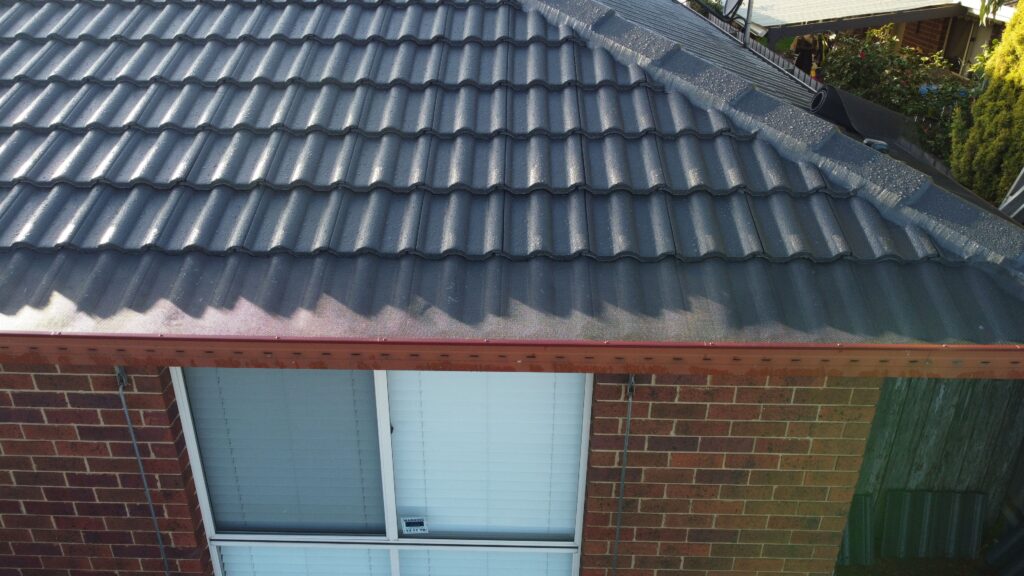 Melbourne roof close-up for repair or restoration assessment.