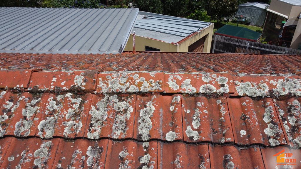 mould growth on roof